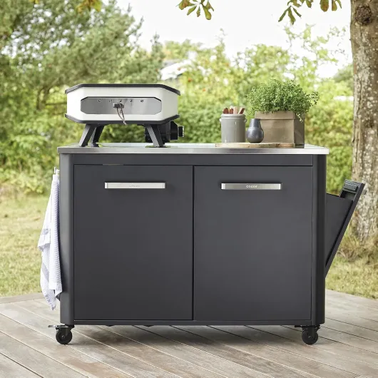 ® Cuisine extérieure 120 - Plan de Travail en Acier Inoxydable - Chariot Mobile avec roulettes Ø75 mm - Poubelle intégrée - 2 Portes - Support pour Bouteille de gaz, Noir 2 portes B127 x T60 x H90 cm
