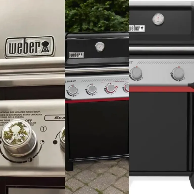 Les 5 meilleurs barbecues Weber gaz (2026)