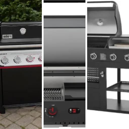 Top Barbecues au gaz et plancha